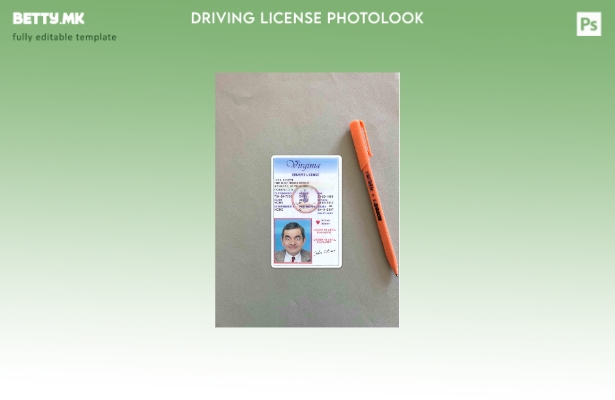 Возачка дозвола во модерен стил на САД Вирџинија под шаблон photolook FRONT